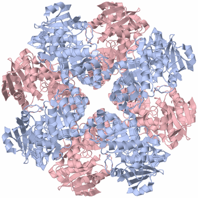 Image Biological Unit 1