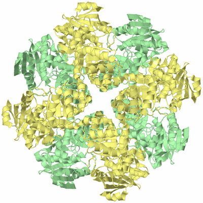 Image Biological Unit 2