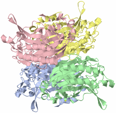 Image Asym./Biol. Unit