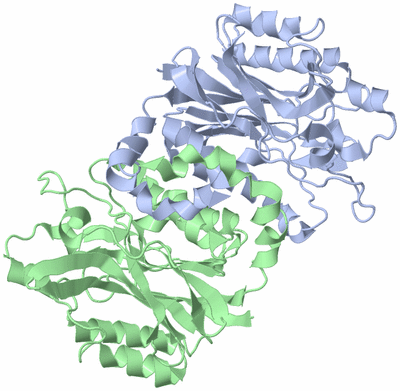 Image Biological Unit 3