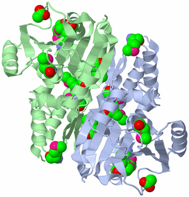 Image Asym./Biol. Unit