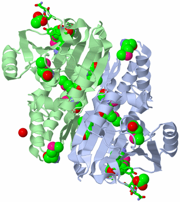 Image Asym./Biol. Unit - sites