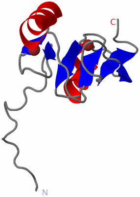 Image NMR Structure - model 1