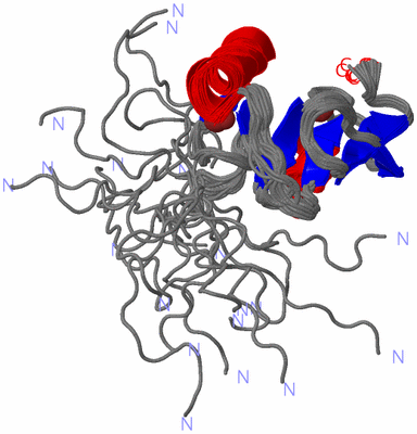 Image NMR Structure - all models