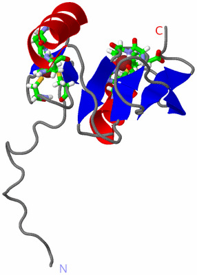 Image NMR Structure - model 1, sites