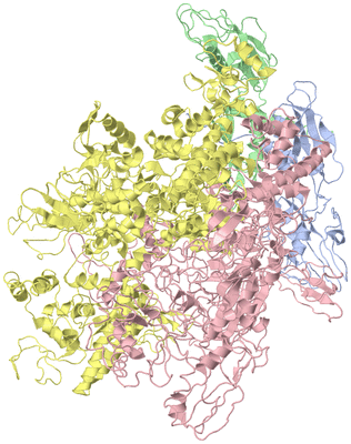 Image Asym./Biol. Unit