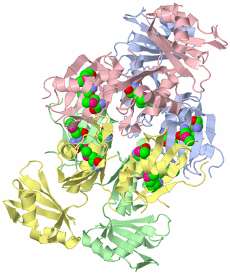 Image Biological Unit 1