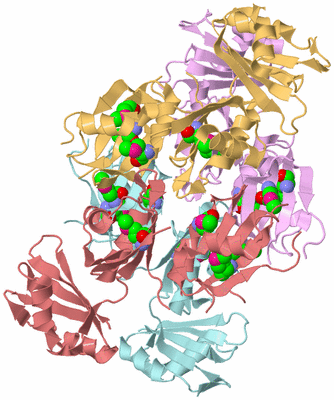 Image Biological Unit 2