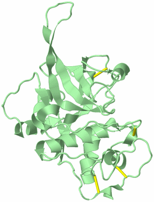 Image Biological Unit 2