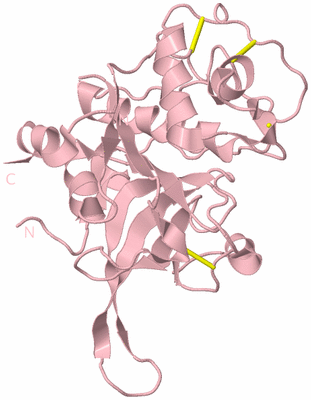 Image Biological Unit 3