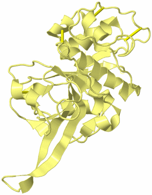 Image Biological Unit 4