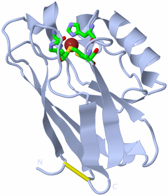 Image Biol. Unit 1 - sites