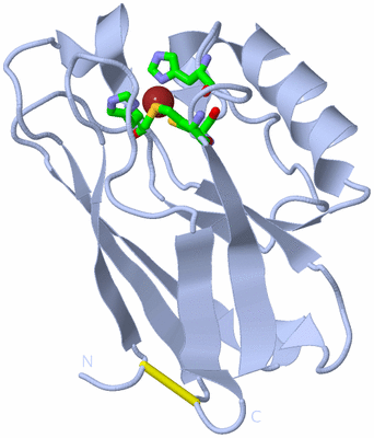 Image Biol. Unit 1 - sites