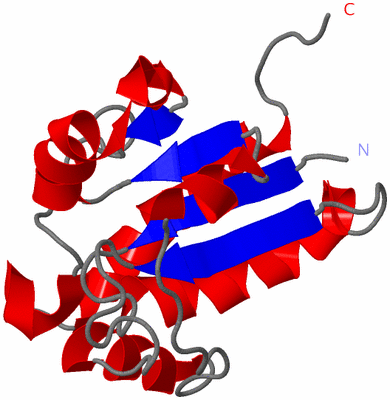 Image NMR Structure - model 1