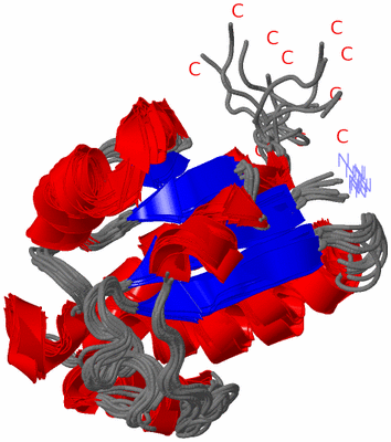 Image NMR Structure - all models