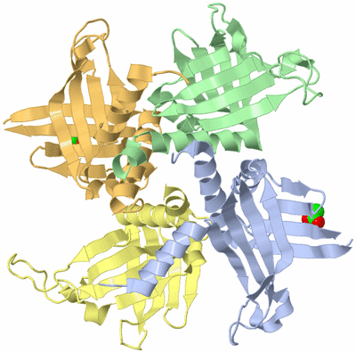 Image Asym./Biol. Unit