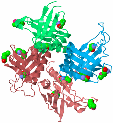 Image Biological Unit 2