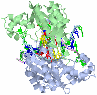 Image Biol. Unit 1 - sites