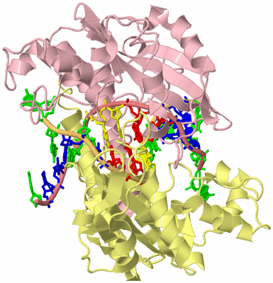 Image Biological Unit 2