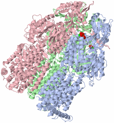 Image Asym./Biol. Unit