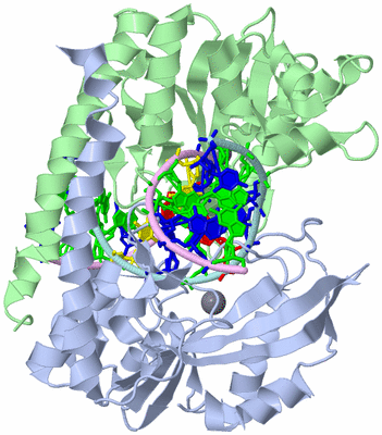 Image Asym./Biol. Unit