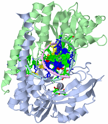 Image Asym./Biol. Unit - sites