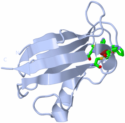 Image Biol. Unit 1 - sites