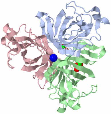 Image Biological Unit 1