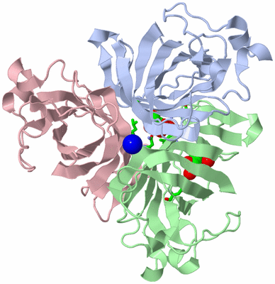 Image Biol. Unit 1 - sites