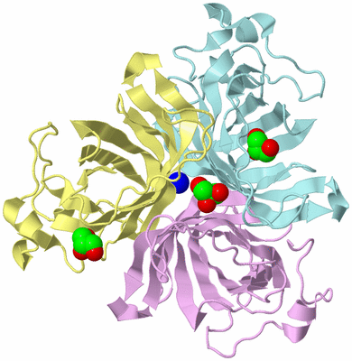 Image Biological Unit 2