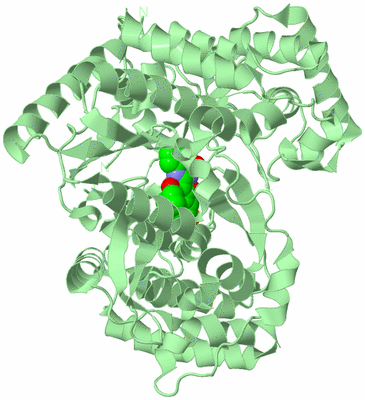 Image Biological Unit 2