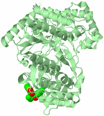 Image Biological Unit 2