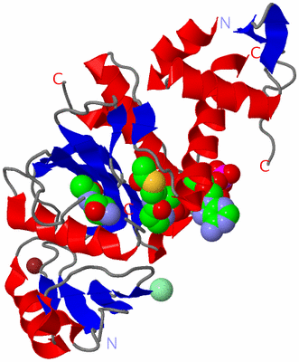 Image Asym./Biol. Unit