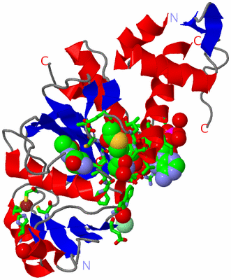 Image Asym./Biol. Unit - sites