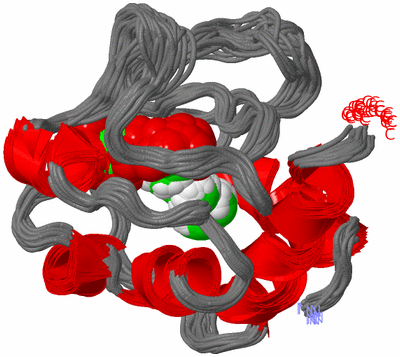 Image NMR Structure - all models