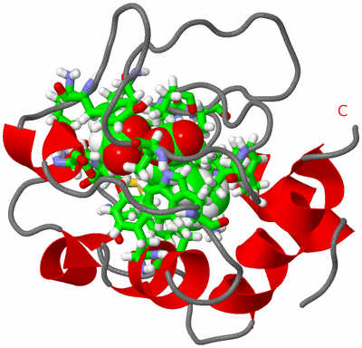 Image NMR Structure - model 1, sites