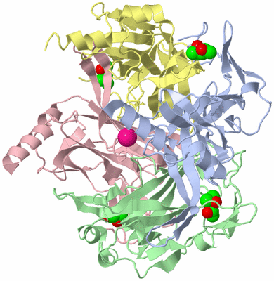 Image Biological Unit 1