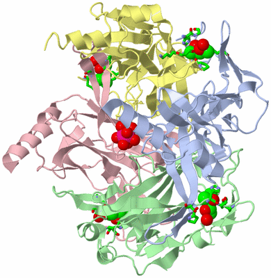 Image Biol. Unit 1 - sites