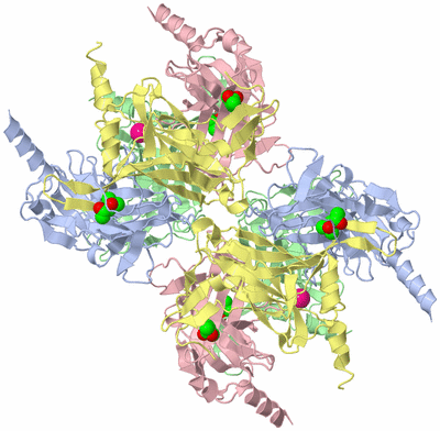 Image Biological Unit 2