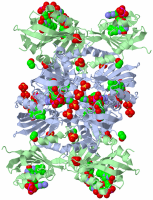 Image Biological Unit 2