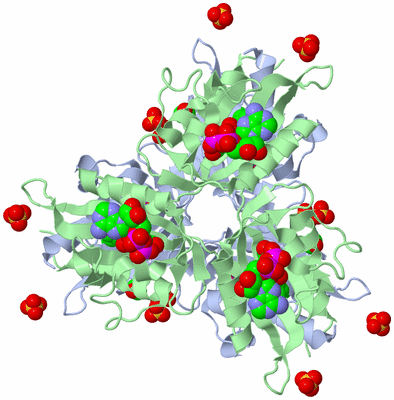 Image Biological Unit 3