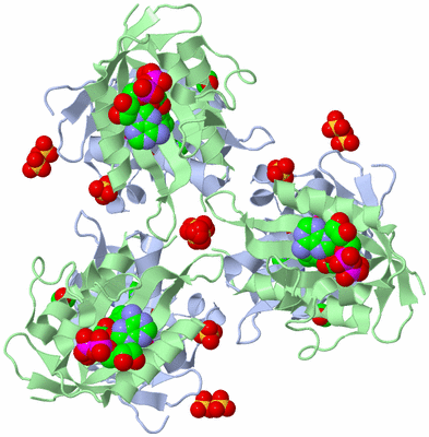 Image Biological Unit 4