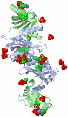 Image Biological Unit 5