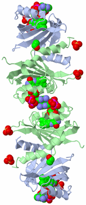 Image Biological Unit 6