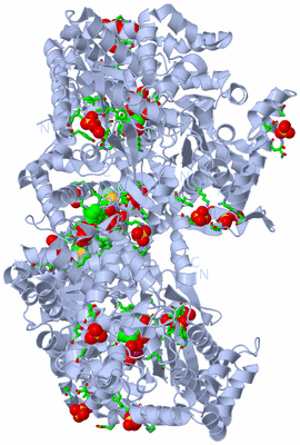 Image Biol. Unit 1 - sites