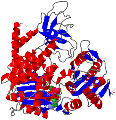 Image Asym./Biol. Unit