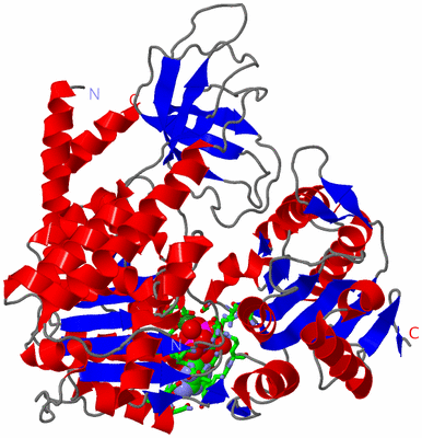 Image Asym./Biol. Unit - sites