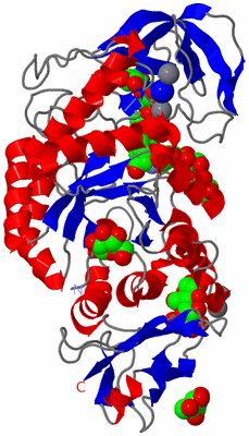 Image Asym./Biol. Unit