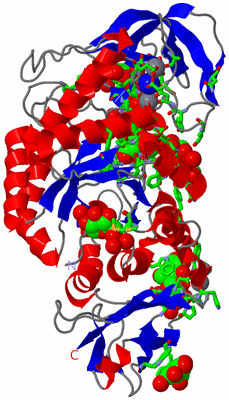 Image Asym./Biol. Unit - sites