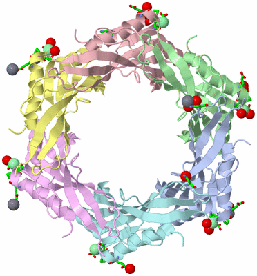 Image Biol. Unit 1 - sites